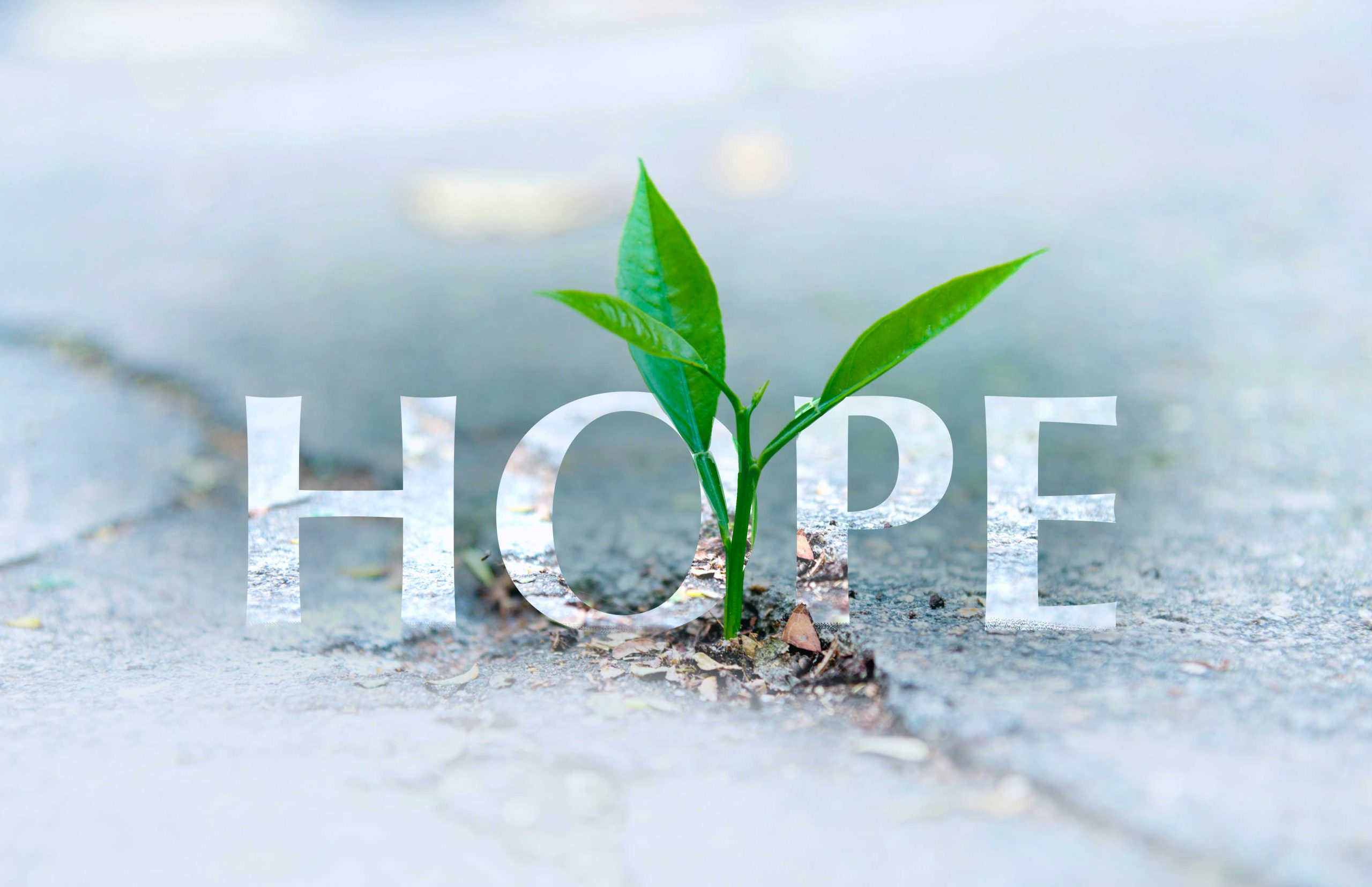 [Hope]